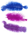 feder-blau-rot-vio-small.gif